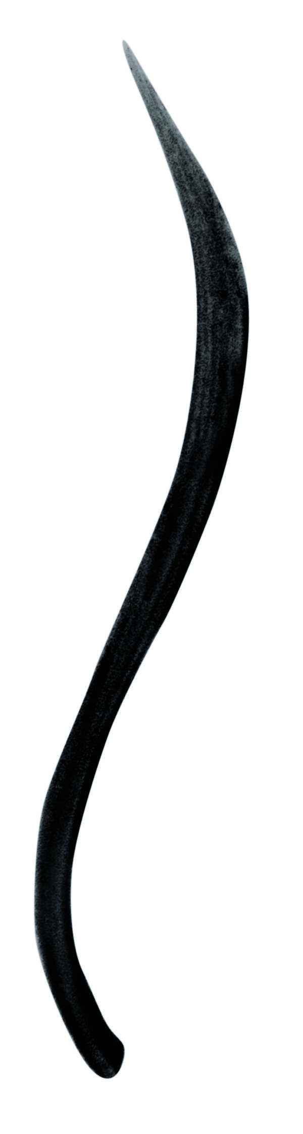 Liquid Eyeliner - Black - Afbeelding 2